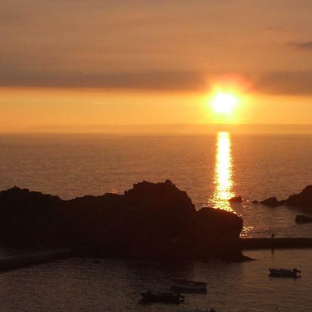 Little Orchard House Bed & Breakfast Salcombe Dış mekan fotoğraf