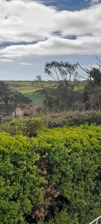 Little Orchard House Bed & Breakfast Salcombe Dış mekan fotoğraf